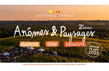 Arômes et Paysages : Une escapade gourmande au cœur des vignobles de Sauternes